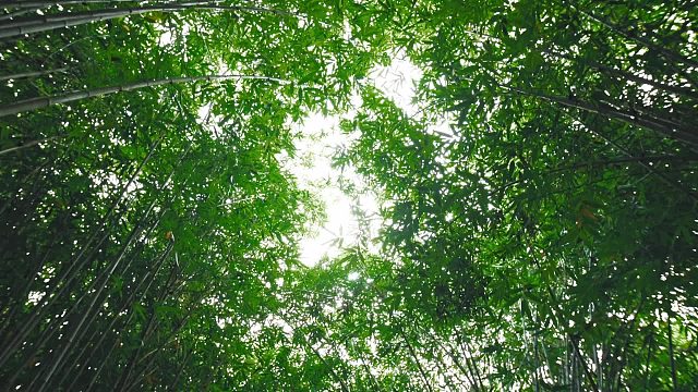 英雄杀x成都武侯祠联动纪录片Part1