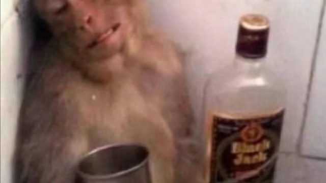 第一次剪，随便看看就好