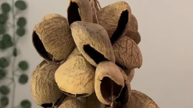 这个乐器是用来助眠的