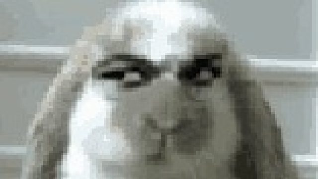 新手号打双排队伍