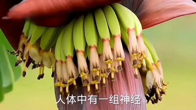 你有这样的情况吗#植物神经紊乱