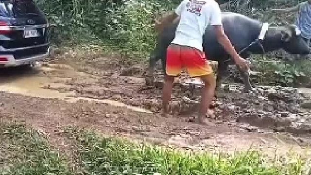 哈哈哈还有什么比这更好的？