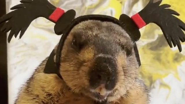 这眼神充满了杀意…