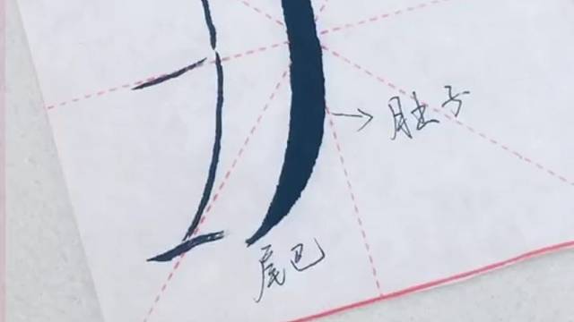 楷书入门基本笔画：竖撇写法