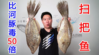 試吃劇毒掃把魚，毒性比河豚毒50倍以上，吃的我好慌