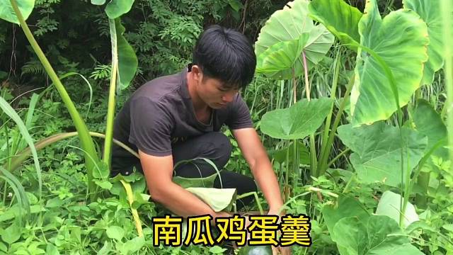 我想听旷野的风，看山间的月，南瓜鸡蛋羹