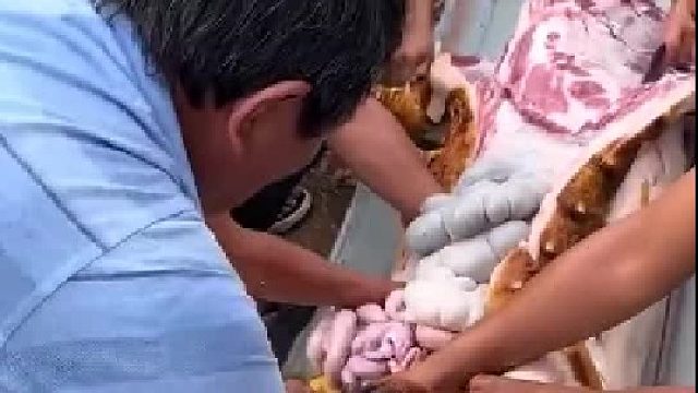 怎么下得去口啊，这直接生吃啊这不腥吗？