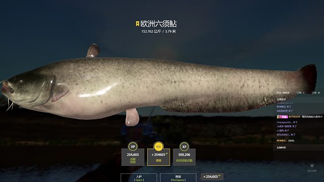 纯情炸轮152星猪