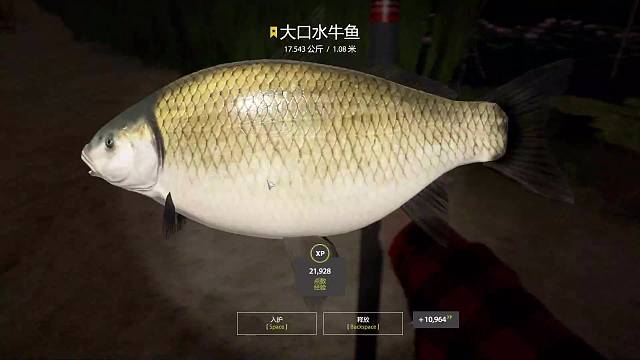 上周手杆星大口水牛