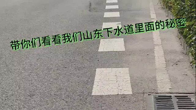 外省的朋友们还在花钱买鱼吗？