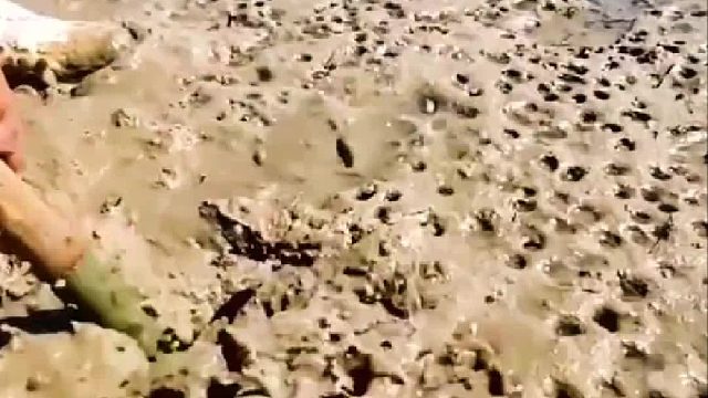 卧槽，这个东西老贵了