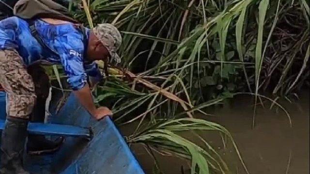 小哥在亚马逊河流狂拔50斤重黄辣丁。