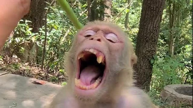 幸福来的太突然