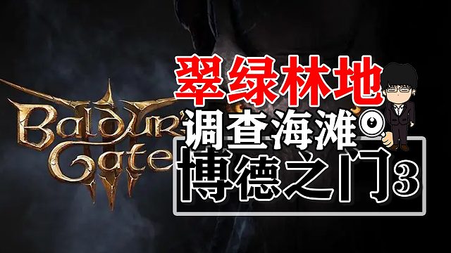 翠绿林地调查海滩杀鸟妖相关任务！博德之门3正式版攻略-战斗篇