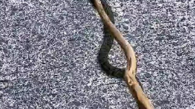 这强烈的推背感真得劲儿