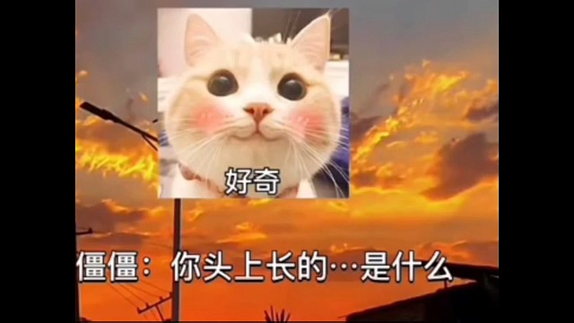 祝粉丝宝宝开心每一天，笑一笑，十年少