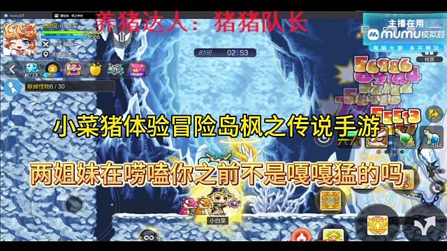 小菜猪体验冒险岛枫之传说手游，两姐妹唠嗑你之前不是嘎嘎猛的吗？