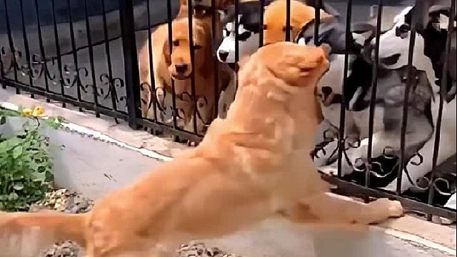 所以吵架的时候不要随便用手指人