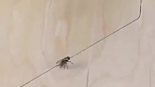 头痒了挠不下来。