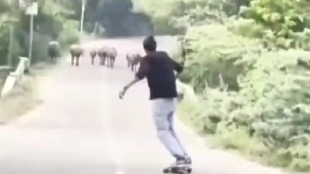 嚣张男子马路中间玩滑板，牛牛看不惯直接顶翻