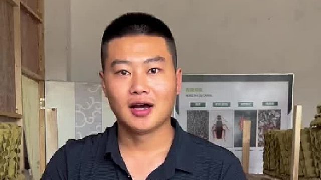 养蟑螂有啥用？