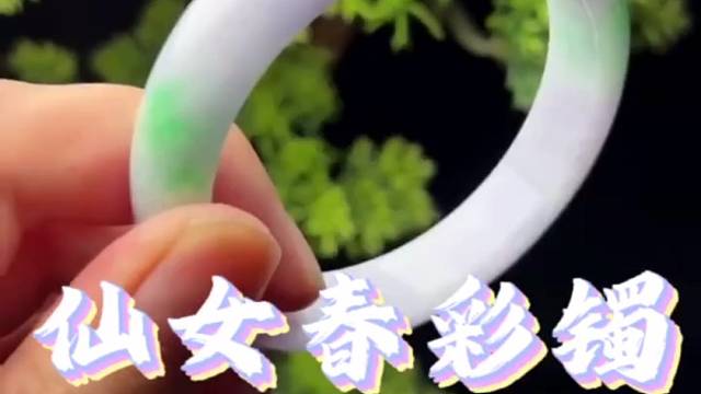 颜色分明的春彩手镯？货主这么帅能给小陆放漏吗？