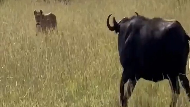 生不逢时，杀机四伏，所到之处，皆是命数