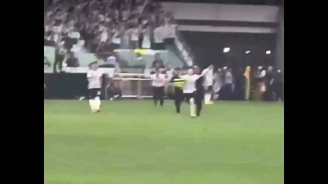 开局好高级黑狐