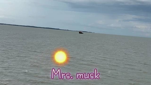 Mrs.musk#孙洋洋#身心安康