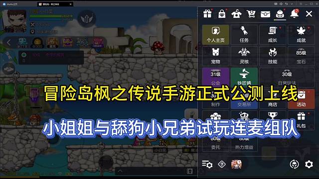 冒险岛枫之传说手游正式公测上线，小姐姐与甜狗小兄弟连麦组队！