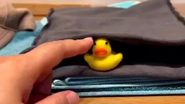 原来鹦鹉也有嫉妒心