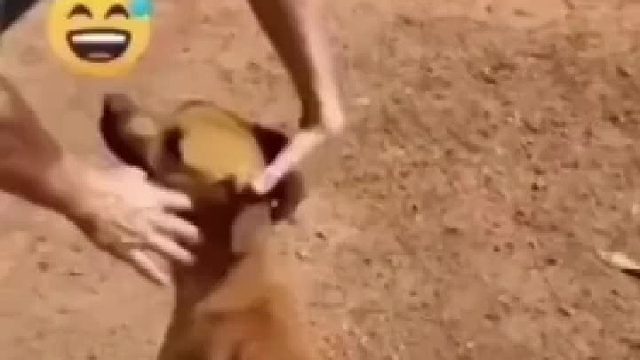 这里什么原理？？？能科普一下吗？？？？？？欧麦嘎！！！