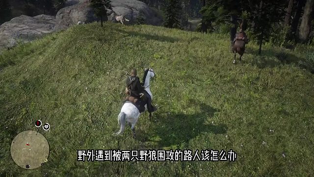 如何正确解救被野狼围攻的路人