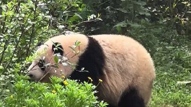 正好赶到花花下班一身反骨不想回去