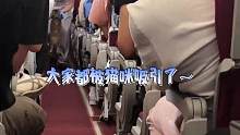 飞机上，猫咪离开自己的座位被抓回。乘客纷纷探头去看，还趁机摸肚子。空少：这位乘客请不要抚摸另一位乘客