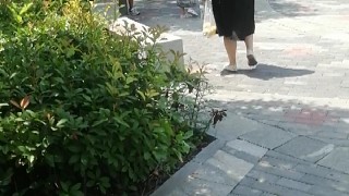 愉快的旅行