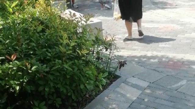 愉快的旅行