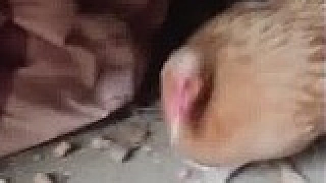 我发布了一个新视频，快来围观吧！