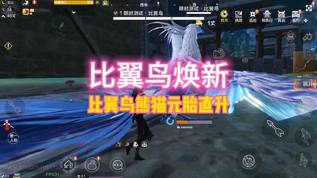 【比翼鸟焕新】比翼鸟熊猫元胎直升