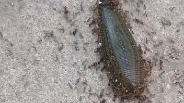 这就是团结的力量