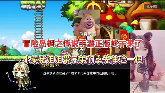 冒险岛枫之传说手游正版来袭，小菜猪姐姐带兄弟体验好可爱！