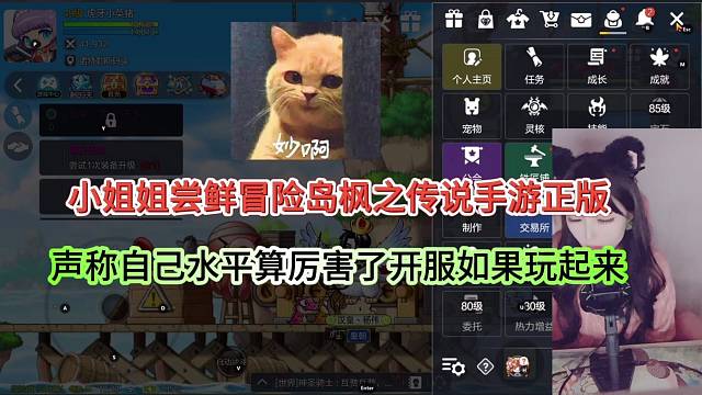 小姐姐尝鲜冒险岛枫之传说正版，自己水平算厉害了吗？