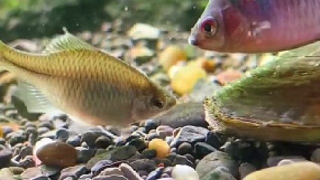 点个赞吧，腿都蹲麻了！