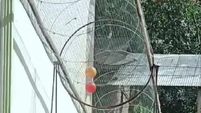 还让鸟睡觉吗？