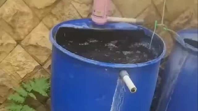 现在养鱼都在桶里面养吗？这鱼能吃吗