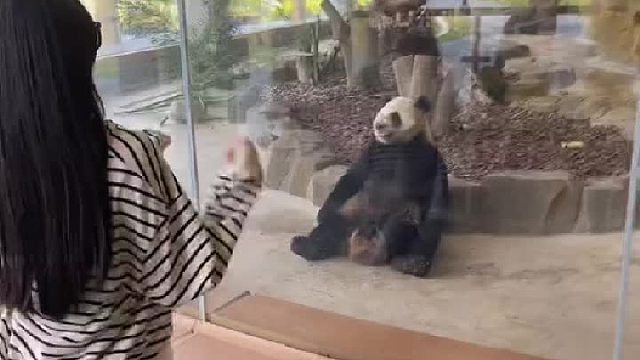 女孩参加闺蜜婚礼：内蒙古席太好吃，全是肉