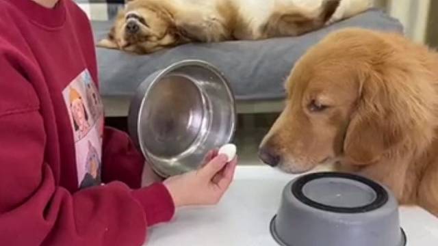 旁边已经气死一个了