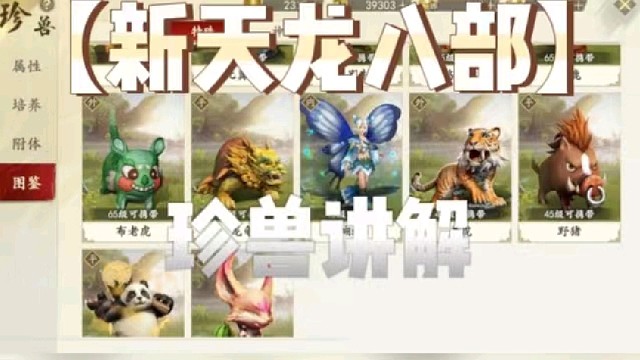【新天龙八部】珍兽讲解