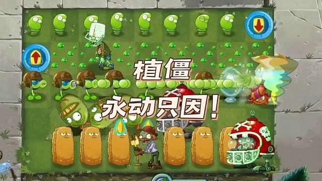 植物大战僵尸无限永动机之卧龙凤雏。