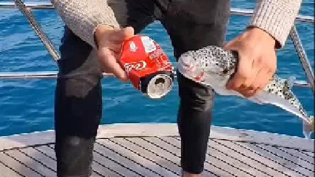 有了这条鱼，剪刀都不用买了